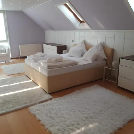 Eine Grozugige Und Helle Haus *