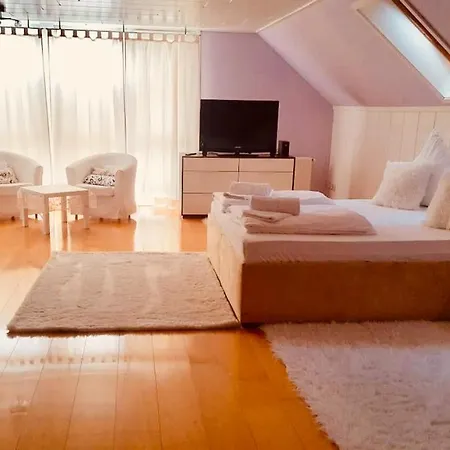 Eine Grozugige Und Helle Haus